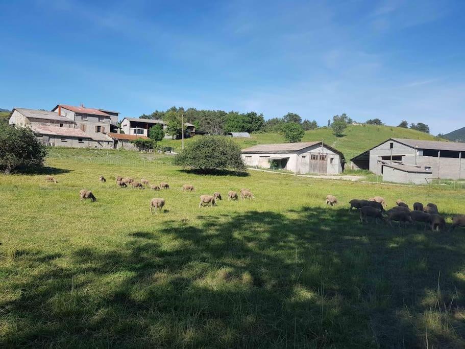 Gite Des Millets En Baronnies Rosans Exterior foto